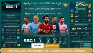 دليل قناة SSC 1 شاهد vip الرياضية باقات العرض وطريقة التفعيل لعام 2026