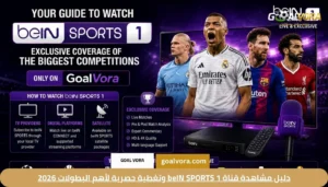 دليل مشاهدة قناة beIN SPORTS 1 وتغطية حصرية لأهم البطولات 2026 1 دليل مشاهدة قناة beIN SPORTS 1 وتغطية حصرية لأهم البطولات 2026