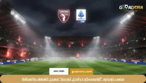 ملعب تورينو: "أوليمبيكو جراندي تورينو" مسرح الشغف والعراقة
