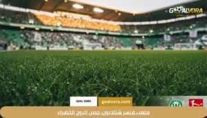ملعب فيسر شتاديون: حصن الروح الخضراء